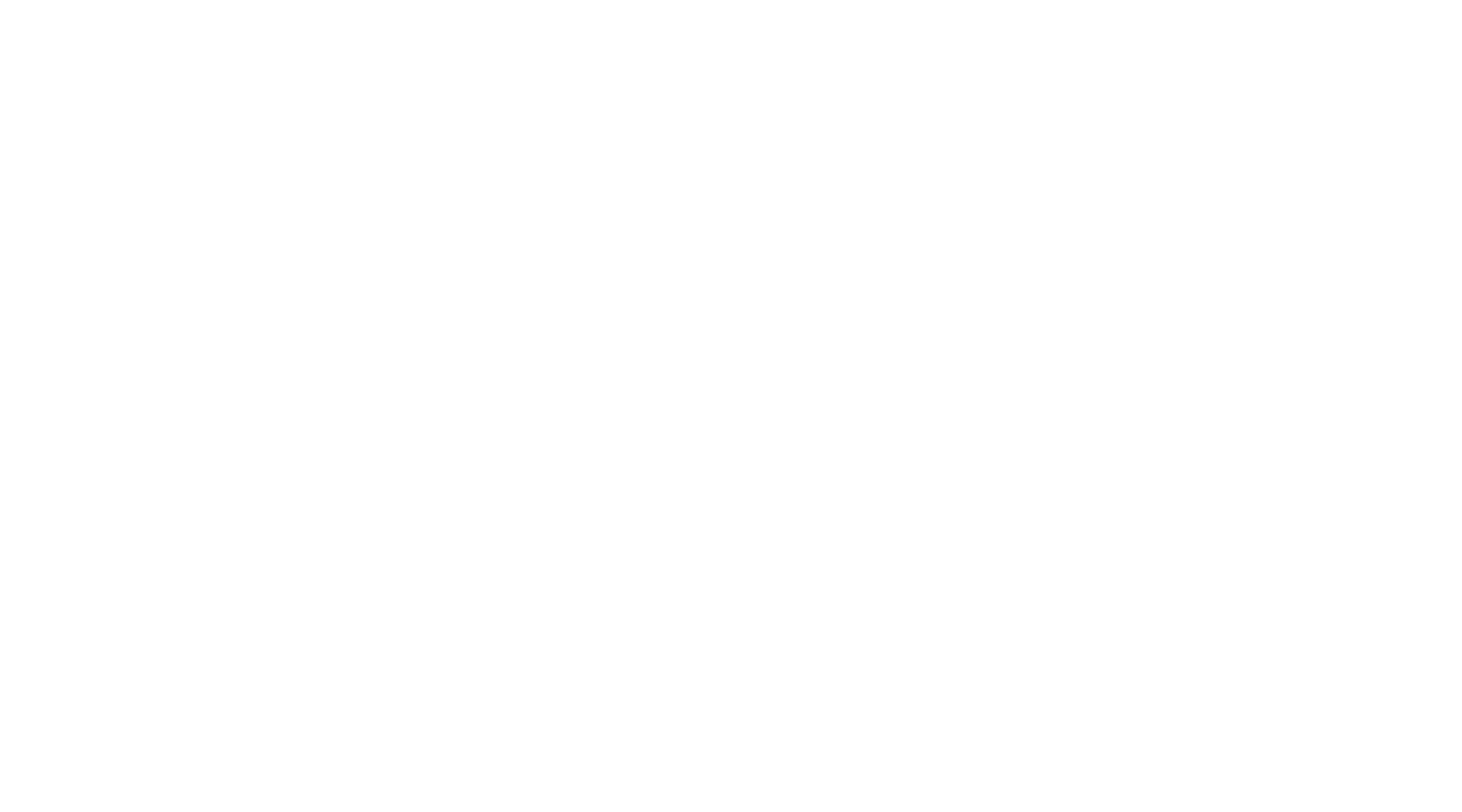 Silentmax