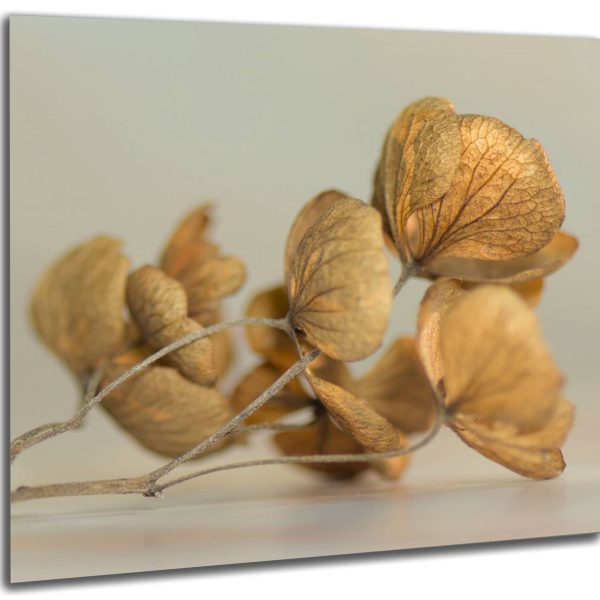 Akustický obraz 61x61 cm - Image 3