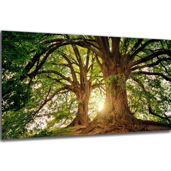 Akustický obraz 244x122 cm - Image 41