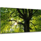 Akustický obraz 122x61 cm - Image 39