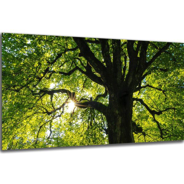 Akustický obraz 244x122 cm - Image 39