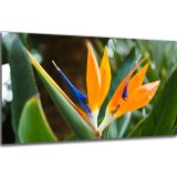 Akustický obraz 122x61 cm - Image 38