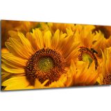 Akustický obraz 122x61 cm - Image 37