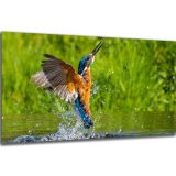 Akustický obraz 122x61 cm - Image 24