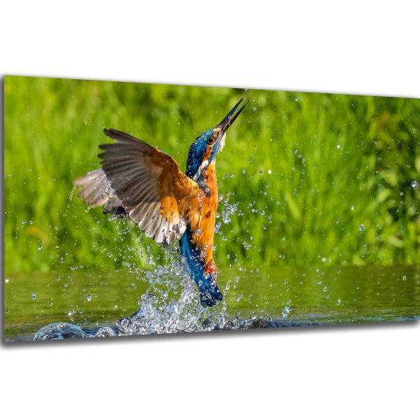 Akustický obraz 244x122 cm - Image 24