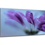 Akustický obraz 122x61 cm - Image 23