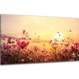 Akustický obraz 122x61 cm - Image 22