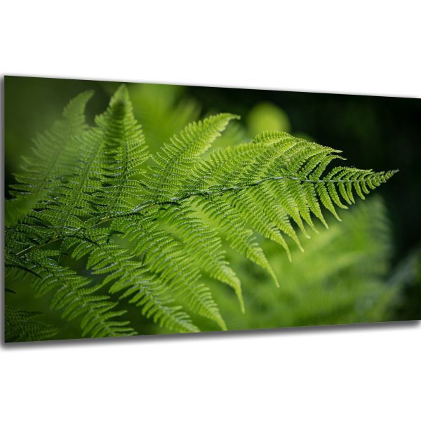 Akustický obraz 244x122 cm - Image 19