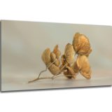 Akustický obraz 122x61 cm - Image 14