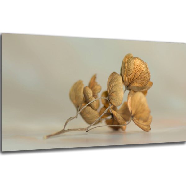 Akustický obraz 244x122 cm - Image 14