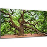 Akustický obraz 122x61 cm - Image 11