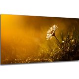 Akustický obraz 122x61 cm - Image 9