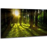 Akustický obraz 122x61 cm - Image 6