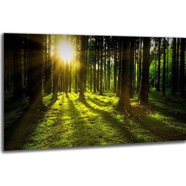 Akustický obraz 244x122 cm - Image 6